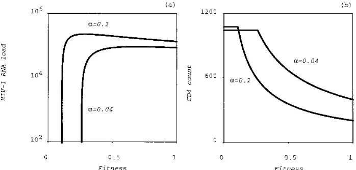 FIG. 3. The equilibrium level of the HIV-1 RNA load (a) and the CD4�plot was generated by switching off mutation and by calculating the equilibrium of the wild-type virus and the total CD4and 1