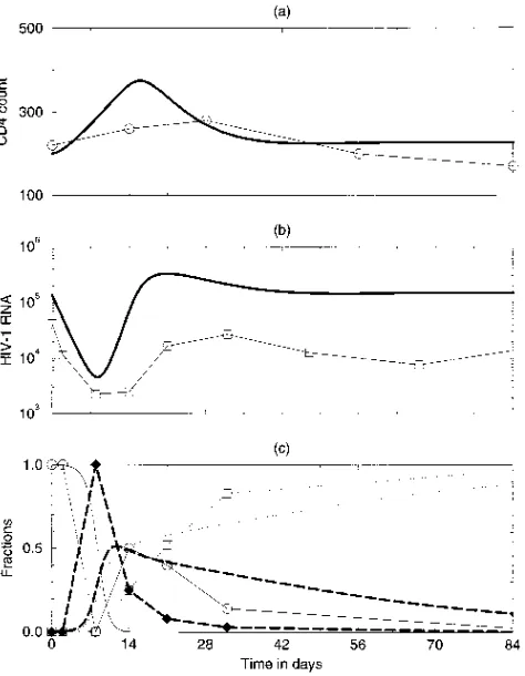 FIG. 4. CD4�day, we obtain a CD4C0021) treated with lamivudine and of the model with an effective drug concen-trationlines; the model behavior is denoted by the continuous lines