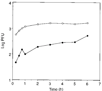 TABLE 1. Effect of DS addition on HSV-1 infection
