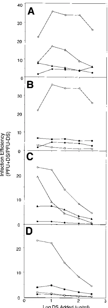 FIG. 5. Effect of soluble DS on herpes simplex virus infection. (A and B)Fold stimulation of HSV plaque formation observed when sog9 cell monolayers