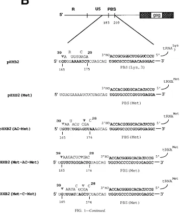 FIG. 1—Continued.