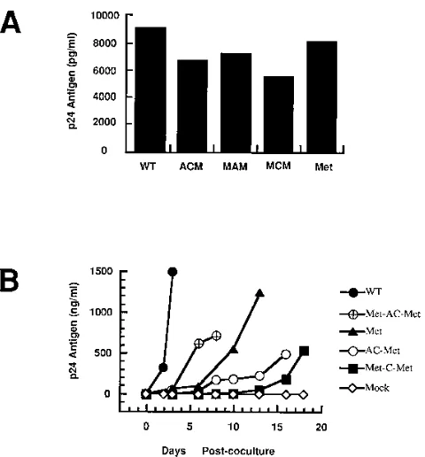 FIG. 2. Protein expression and infectivities of proviruses with mutations inU5 and the PBS
