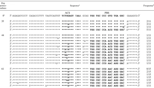 TABLE 2. Partial sequences of the U5 and PBS regions of pHXB2(AC-Met) mutant proviruses isolated after coculture