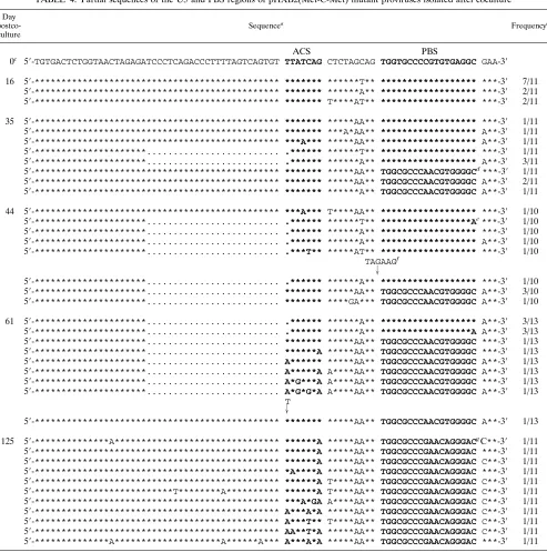 TABLE 4. Partial sequences of the U5 and PBS regions of pHXB2(Met-C-Met) mutant proviruses isolated after coculture