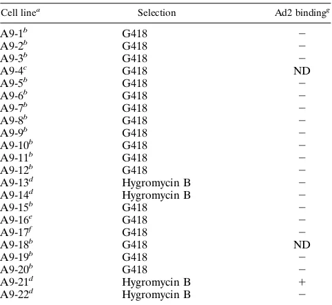 TABLE 1. 3H-labeled Ad2 virus binding by A9 clonescontaining single human chromosomes