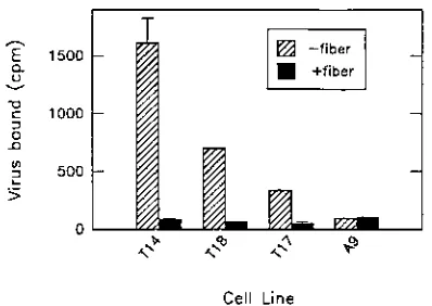 FIG. 5. Expression of speciﬁc receptors is required for Ad2 infection of A9cells. Duplicate monolayers of A9, T14, and A549 cells were incubated with