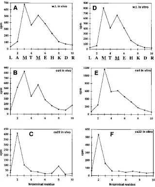 FIG. 3. Amino acid sequence of PR polypeptides. [35(panels A to C) or from in vitro translation reactions that were incubated with PR (panels D to F)