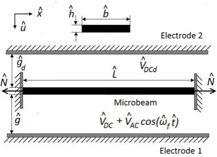 Fig. 1.Double-side actuation mechanism for a microbeam oscillator