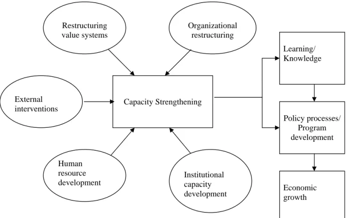 Figure 1. Capacity building: Conceptual framework 