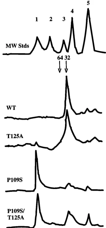 FIG. 2. 3�mutant integrase proteins. Each protein was assayed for 3disintegration (bottom) activities at two different concentrations: 0.252, 4, 6, and 8) and 0.5P109S integrase was also assayed at 1omitted from the reactions in lane 1