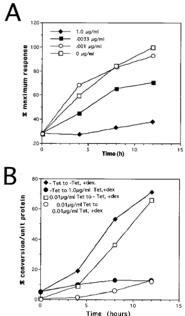 FIG. 5. Correlation of Rev Function with target RNA abundance and tran-scription rate