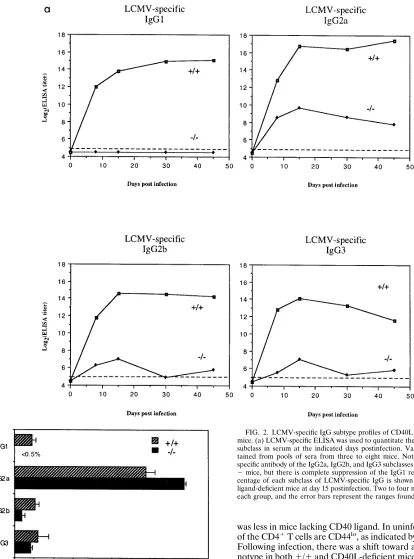 FIG. 2. LCMV-speciﬁc IgG subtype proﬁles of CD40L�mice. (a) LCMV-speciﬁc ELISA was used to quantitate the amount of each IgGsubclass in serum at the indicated days postinfection