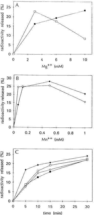 TABLE 1. RNase H activities of RT, RNH, and GST-RNH