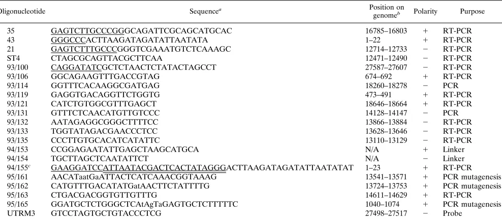 TABLE 1. Oligonucleotides for construction and sequencing of IBV D-RNAs