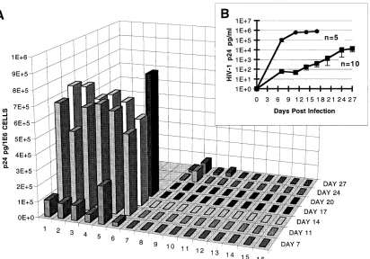FIG. 2. HIV-1 challenge of CEMSS clones expressing sense or antisense �TCIDfragment in antisense orientation