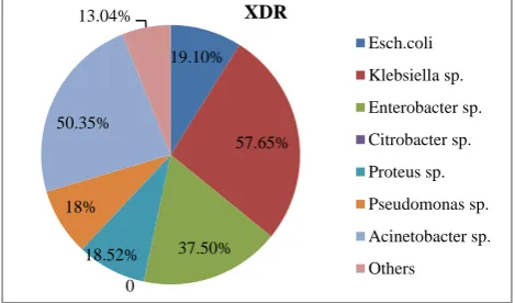 Figure 3: Prevalence of XDR strains among bacterial isolates. 