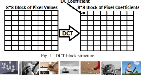 Fig. 1.  DCT block structure.  