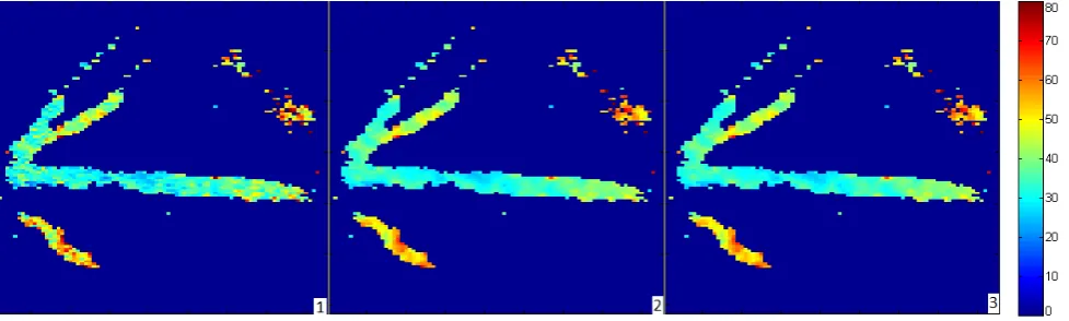 Fig. 5-oxygen tension in  pO� map (120x85 pixels) of a rat generated using the LS(1), iterative RLS(2) and the proposed RLS(3) methods
