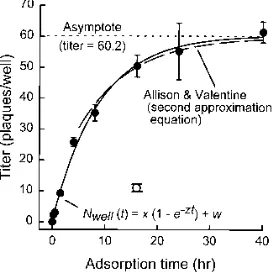 TABLE 3. Effect of vector adsorption time on the determination ofadenovirus vector concentration and bioactivity on 293 cells