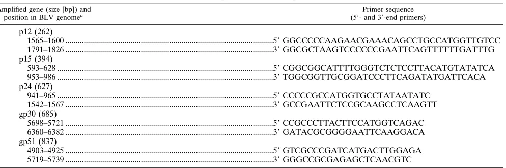 TABLE 1. Oligonucleotide primers used for ampliﬁcation of BLV genes