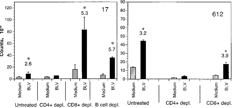 FIG. 4. Effects of peptide concentration on lymphocyte proliferation. Lym-phocytes from animal 17 were cultured with indicated concentrations of recom-