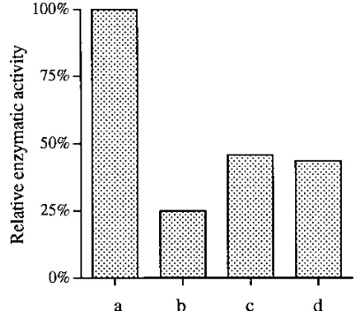 FIG. 1. Selection of HIV-1 RT-neutralizing antibody fragments from a phagedisplay library