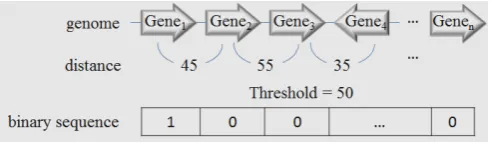Fig 1. Diagram of binary sequence 
