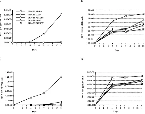 FIG. 4. HIV-1 NF6 challenge experiments. CEM-SS �of PR inhibitor-resistant HIV-1 strain NF6 per ml, and the culture supernatants were assayed for HIV-1 p24 release at the indicated time points by p24 ELISA