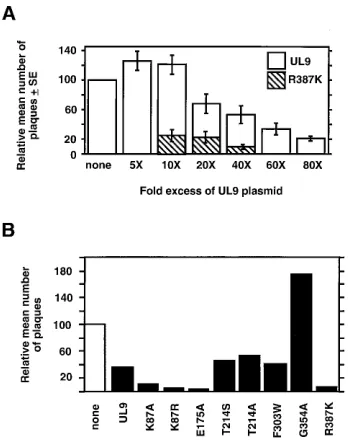 FIG. 2. Effects of plasmids expressing wild-type UL9 or mutants on viralplaque formation by infectious viral DNA