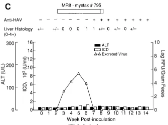 FIG. 7—Continued.