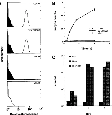 FIG. 2. Functional characterization of CD4 �CD4antibodies (unﬁlled proﬁle). FITC-labeled goat anti-mouse antibodies were used as a negative control in each reaction (ﬁlled proﬁle)