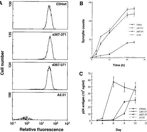 FIG. 3. Functional characterization of CD4 D4-TM interdomain-mutated cDNA introduced in CD4-negative T cells