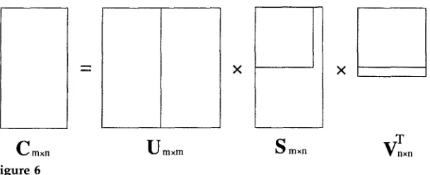Figure 6 Singular value decomposition. 