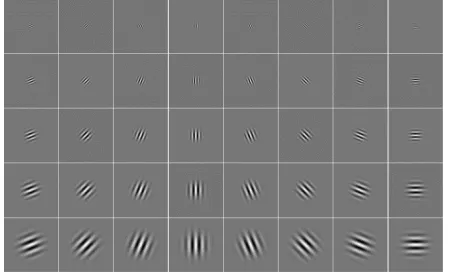 Figure 3. Extraction of face region from a video frame and  preprocessing 