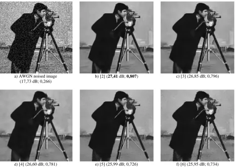 Fig. 1. Denoising of an AWGN-noised (35) image by various algorithms on an example of the test image “Cameraman”