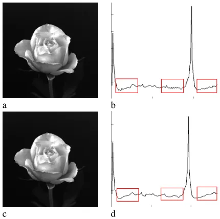 Fig 1.  The steps of the new algorithm  