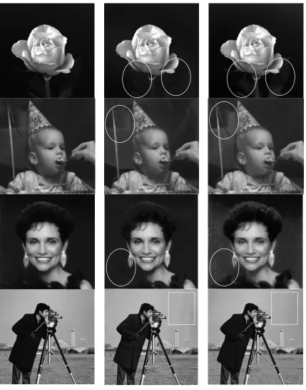 Fig 3.  Result of proposed algorithm. (a) Input image; (b) Result of BPDHE  algorithm; (c) Result of proposed algorithm