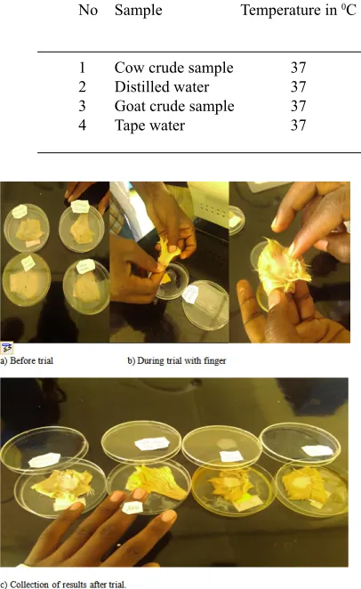 Table 1. Results of enzymatic activity on sheep hide