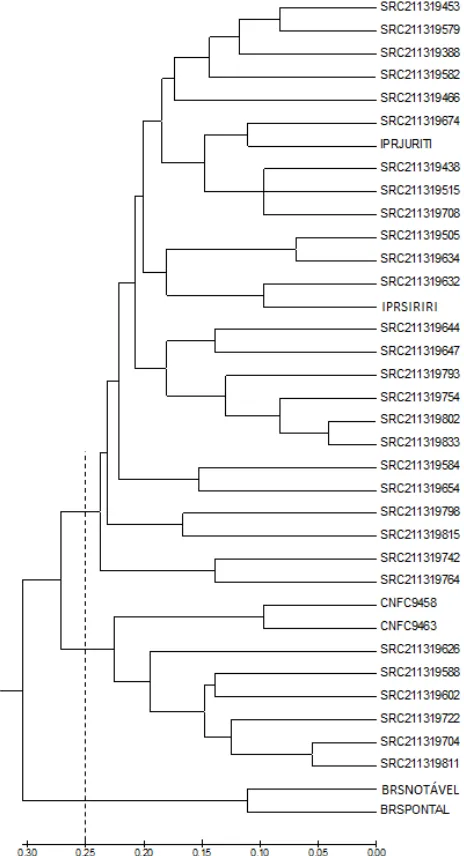 Figure 1.  Dendrogram obtained from the genetic distance matrix of Rogers-W, using the UPGMA method, considering the six parents and the 30 C0S0:3 progenies selected from the Embrapa recurrent selection program for resistance to common bacterial blight in 