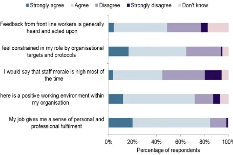 Figure 2: Frontline practitioner perceptions of workforce and working environment 