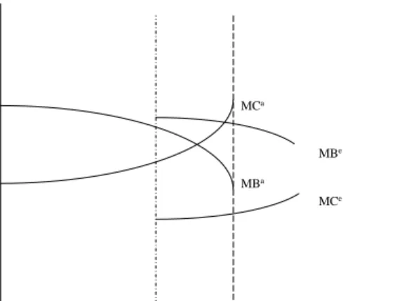 Figure 5. Implementation and Subsequent Programmes