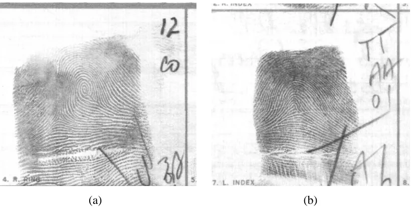 Figure 1.2 Samples of ambiguous prints 