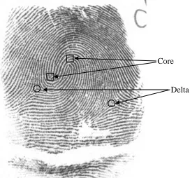 Figure 1.7 Core and delta on a fingerprint image 