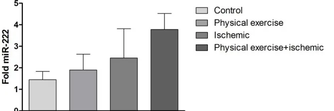 Figure 2.  Mean values (± standard error) of microRNA-29b expression in brain tissue between the treatment groups