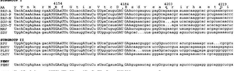 FIG. 7. Nucleotide alignment of regions homologous to the distal readthrough element. Sequences are labeled as in Fig