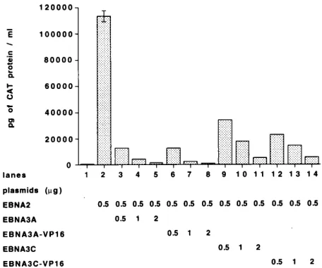 FIG. 6. EBNA3A and EBNA3C inhibit RBP-J�EMSA was performed with in vitro-translated proteins