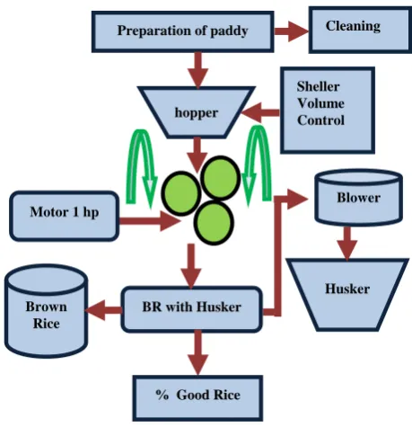 Fig. 1 Brown Rice 