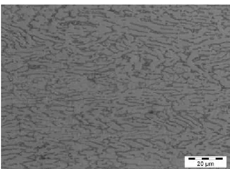 Figure 5: Microstructure of the substrate 