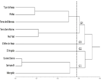 Figure 1. Genetic diversity among 10 plantain genotypes integrating agronomic, physicochemical and molecular data using Gower’s algorithm