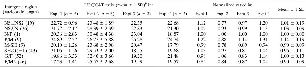 TABLE 1. Ratio of LUC enzyme versus CAT enzyme expressed by RSV-CAT-LUC minigenomes representing the eight naturally occurringintergenic regions of RSV strain A2a